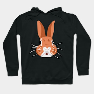 Bunny Hoodie